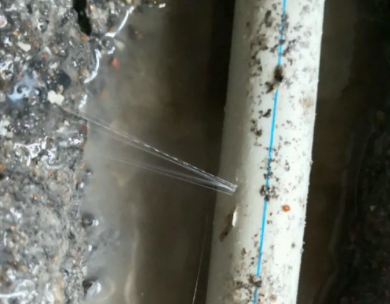 乌伊岭测漏水哪家好