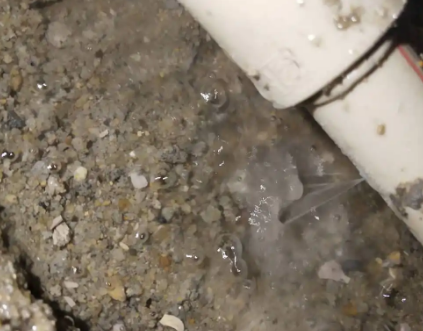 乌伊岭测漏水电话号码