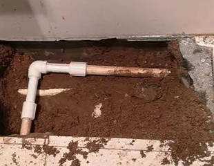 乌伊岭测漏水哪家好