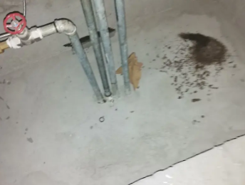 乌伊岭卫生间测漏水价格明细