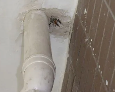 乌伊岭漏水检测哪家好